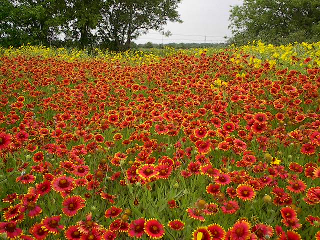 Photography by N2framing for DesignCrowd (Community Contests) | Design #9124389