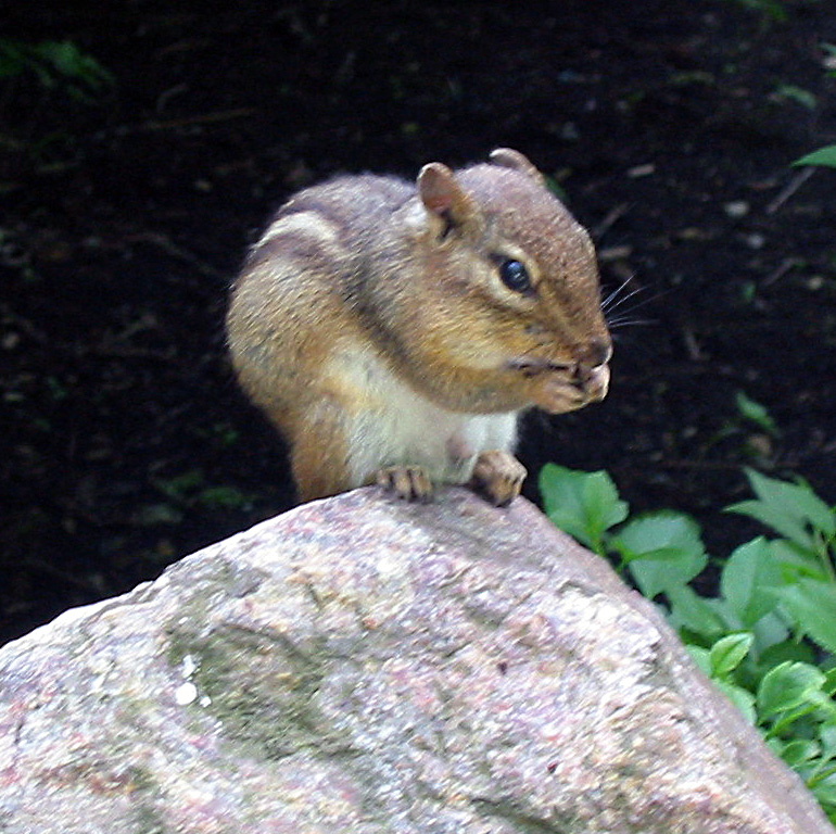 Photography by www4 for DesignCrowd (Community Contests) | Design #9124435