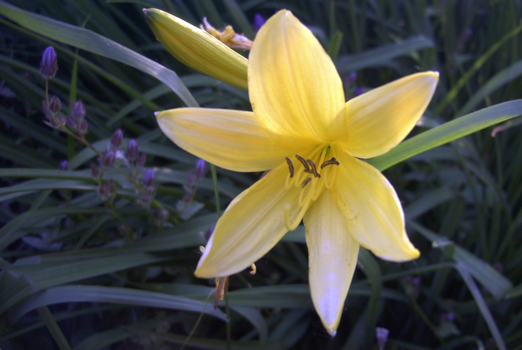 Photography by CologneStud for DesignCrowd (Community Contests) | Design #9124451