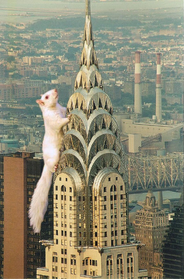 Diseño de Photoshop por ThaDux para DesignCrowd (Community Contests) | Diseño #9131343