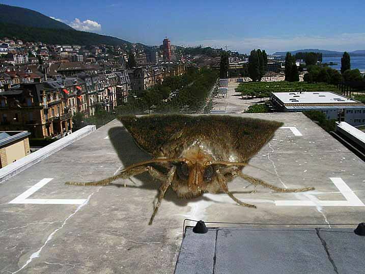 Photoshop Design by TyChO for DesignCrowd (Community Contests) | Design #9131352