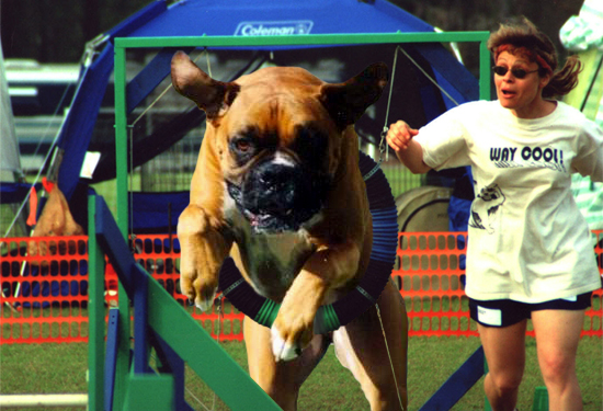 Design Photoshop par Matte1138 pour DesignCrowd (Community Contests) | Design #9131422