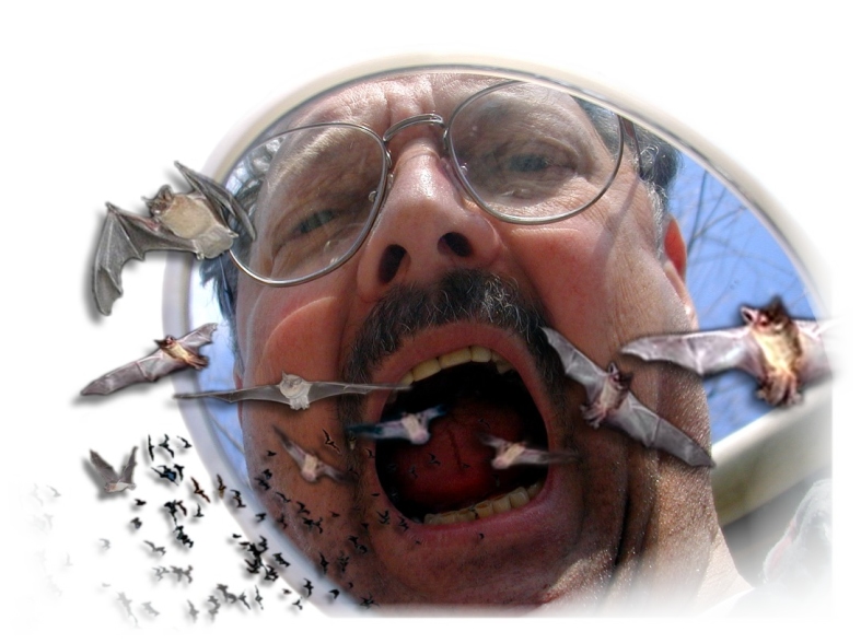 Diseño de Photoshop por Tommy1de para DesignCrowd (Community Contests) | Diseño #9131425