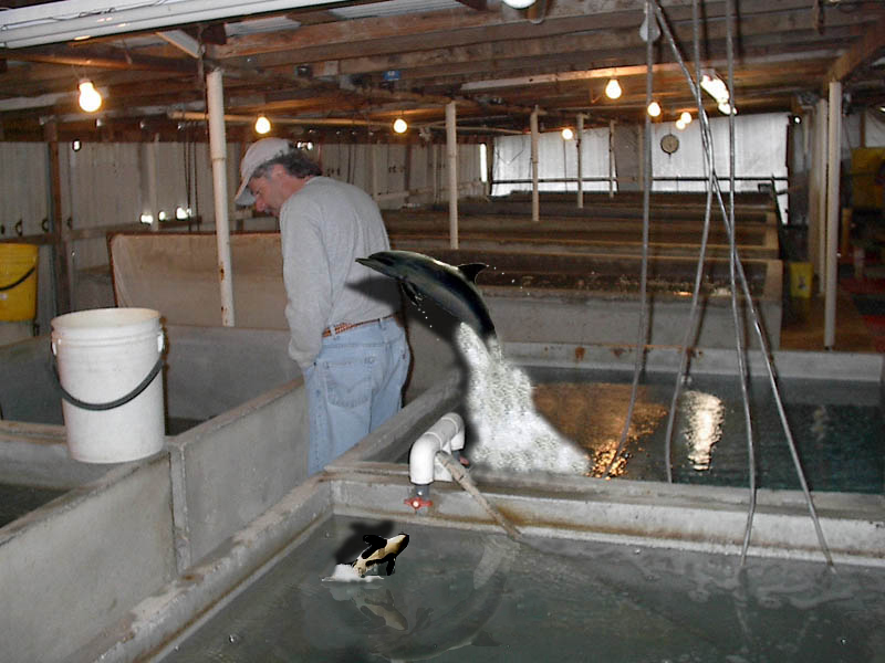 Photoshop Design by N2framing for DesignCrowd (Community Contests) | Design #9131430