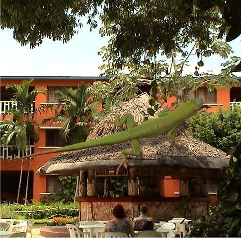 Photoshop Design by bubufr for DesignCrowd (Community Contests) | Design #9131442