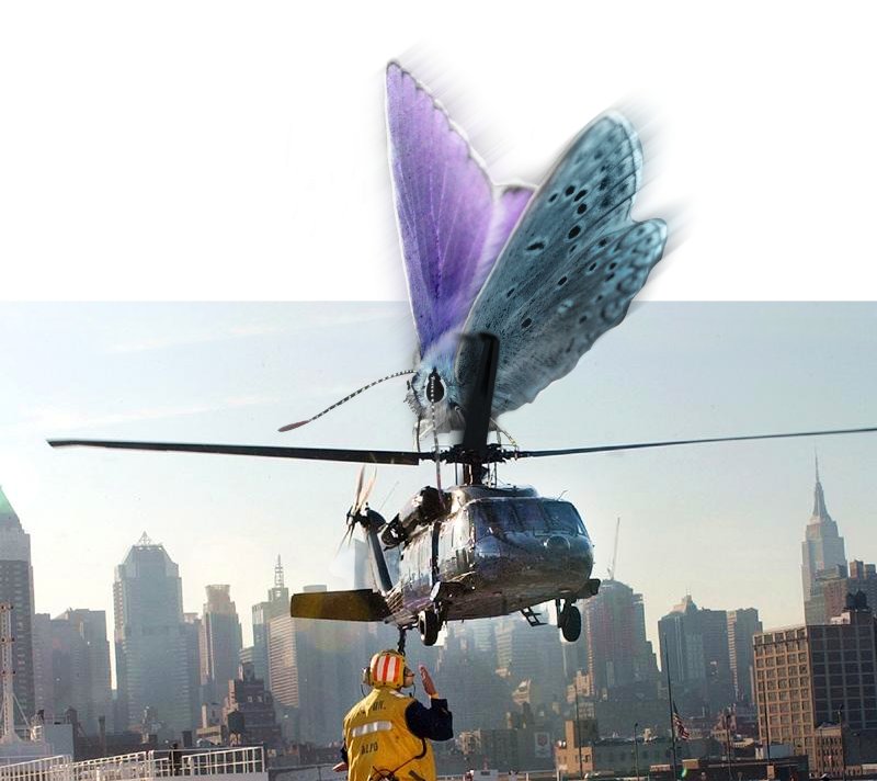 Photoshop-Design von Grimtooth für DesignCrowd (Community Contests) | Design #9131434