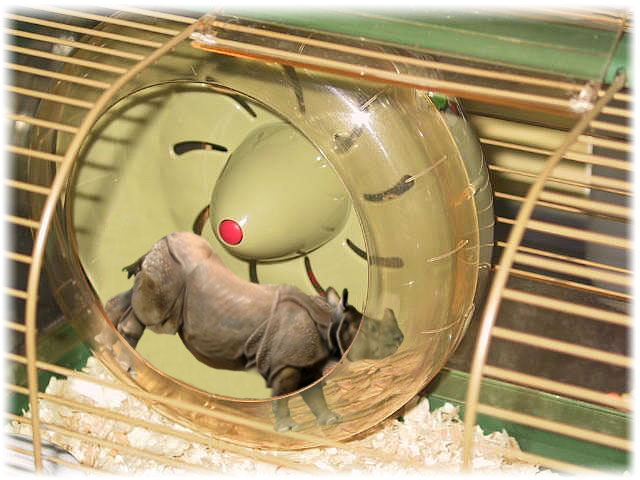 Photoshop Design by rybonyc for DesignCrowd (Community Contests) | Design #9131485