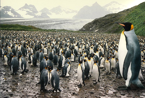 Design Photoshop par Hjalli pour DesignCrowd (Community Contests) | Design #9131622