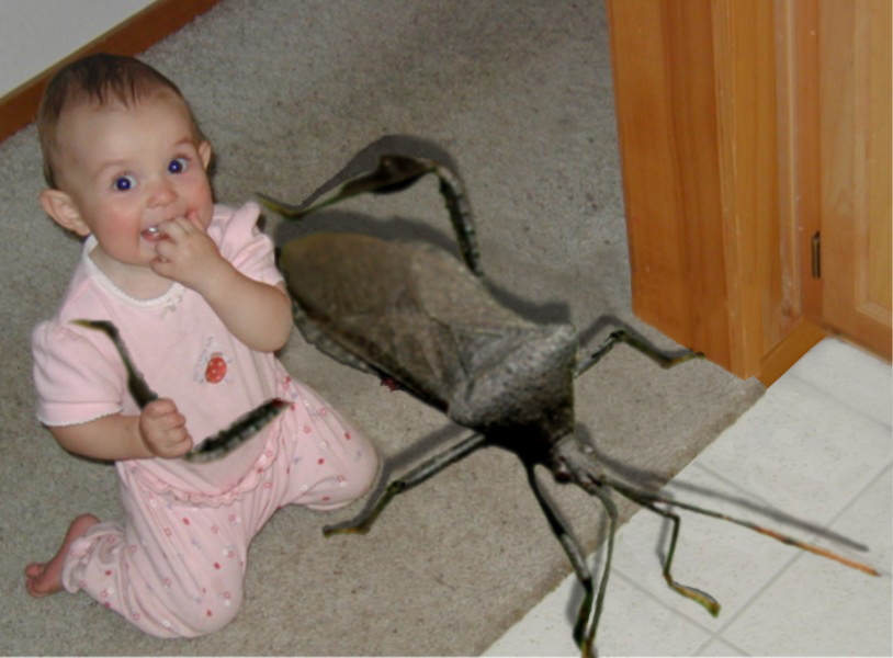 Diseño de Photoshop por adonf para DesignCrowd (Community Contests) | Diseño #9131495