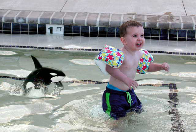 Photoshop Design by Pawtucket_Pat for DesignCrowd (Community Contests) | Design #9131472