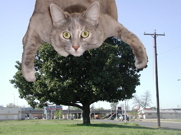 Photoshop-Design von babyliz für DesignCrowd (Community Contests) | Design #9131660