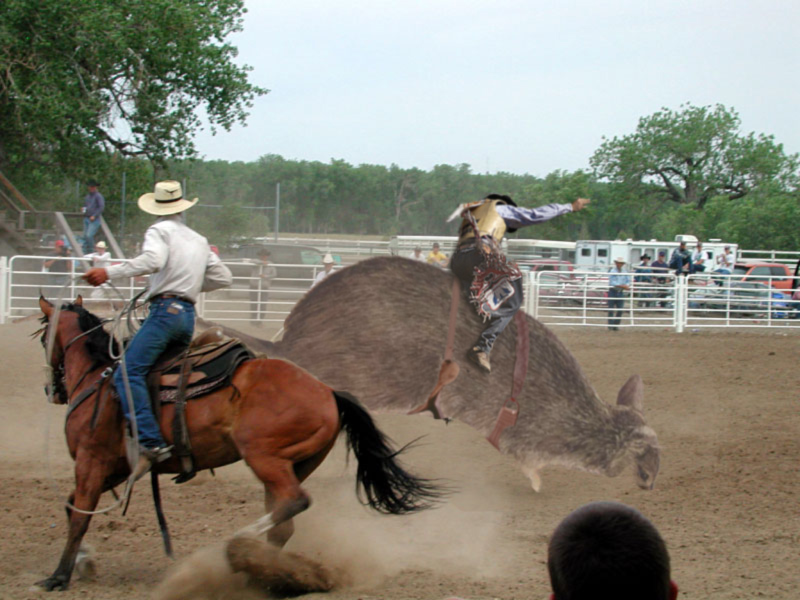 Diseño de Photoshop por Bobz para DesignCrowd (Community Contests) | Diseño #9131463