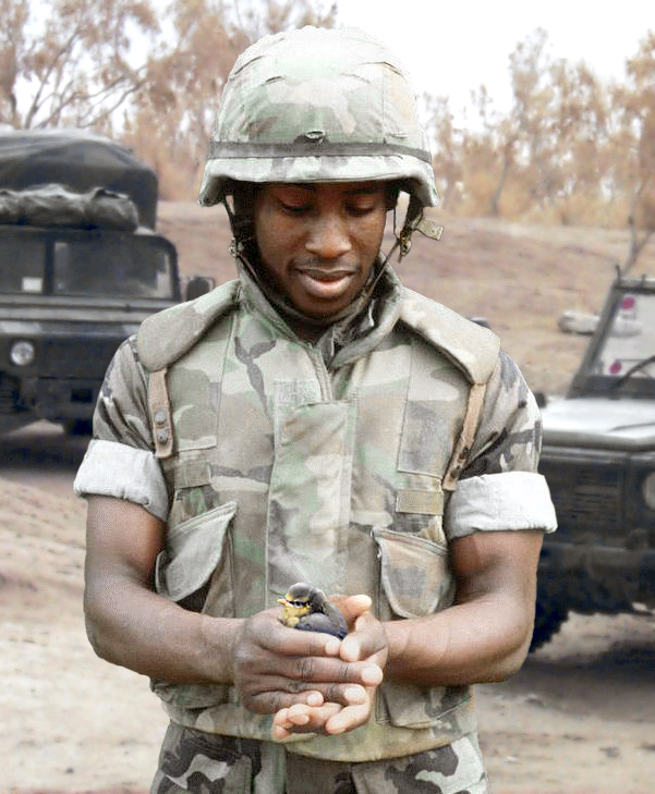 Design Photoshop par ARagMan pour DesignCrowd (Community Contests) | Design #9135080