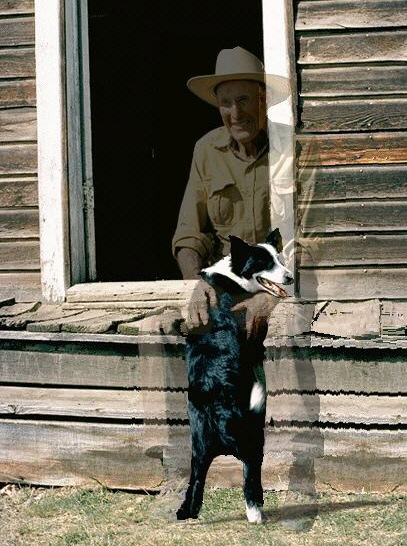 Photoshop-Design von JAM für DesignCrowd (Community Contests) | Design #9150190