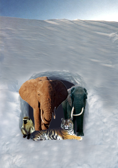 Photoshop Design by Sibbles for DesignCrowd (Community Contests) | Design #9144721