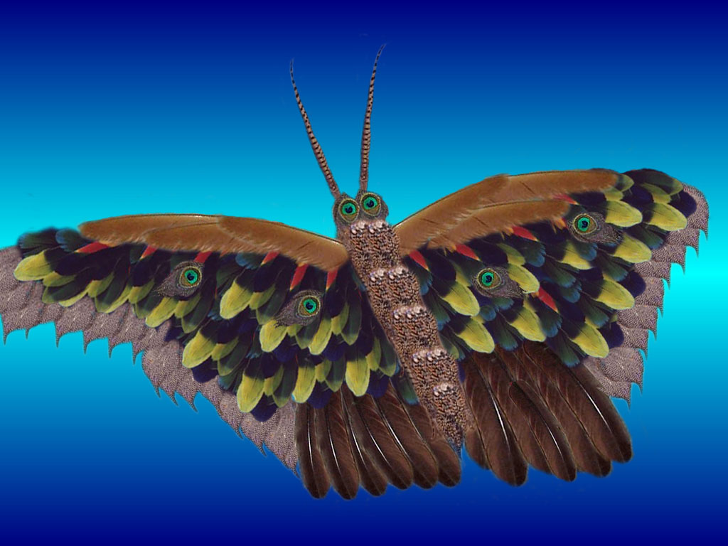 Photoshop-Design von CopperMiner für DesignCrowd (Community Contests) | Design #9146233