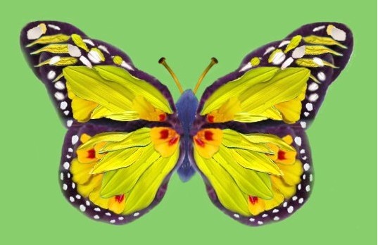 Photoshop Design by MPolgara for DesignCrowd (Community Contests) | Design #9146313