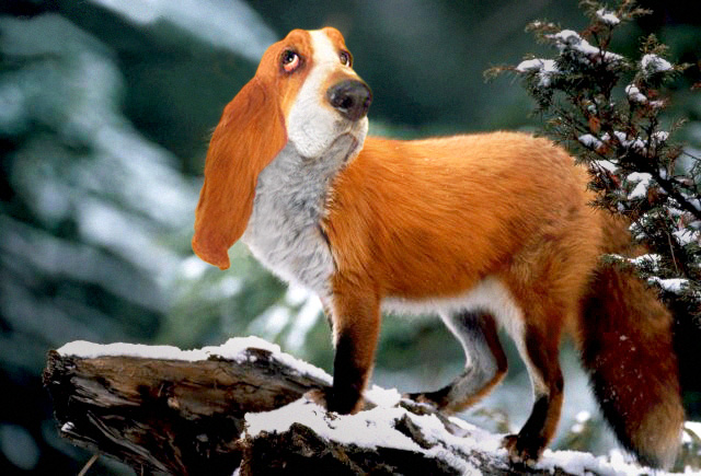 Design Photoshop par claven pour DesignCrowd (Community Contests) | Design #9145645