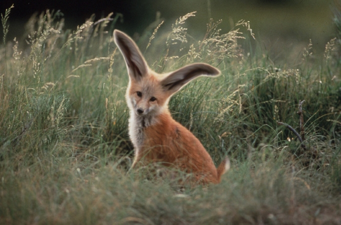 Photoshop Design by its420here for DesignCrowd (Community Contests) | Design #9145664