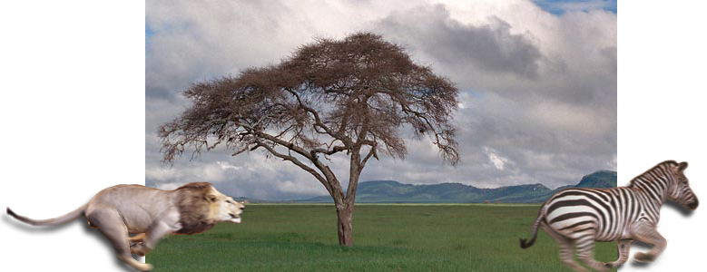 Photoshop-Design von Brass_Elephant für DesignCrowd (Community Contests) | Design #9145731