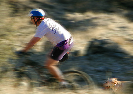 Photoshop Design by compugoddess for DesignCrowd (Community Contests) | Design #9145788