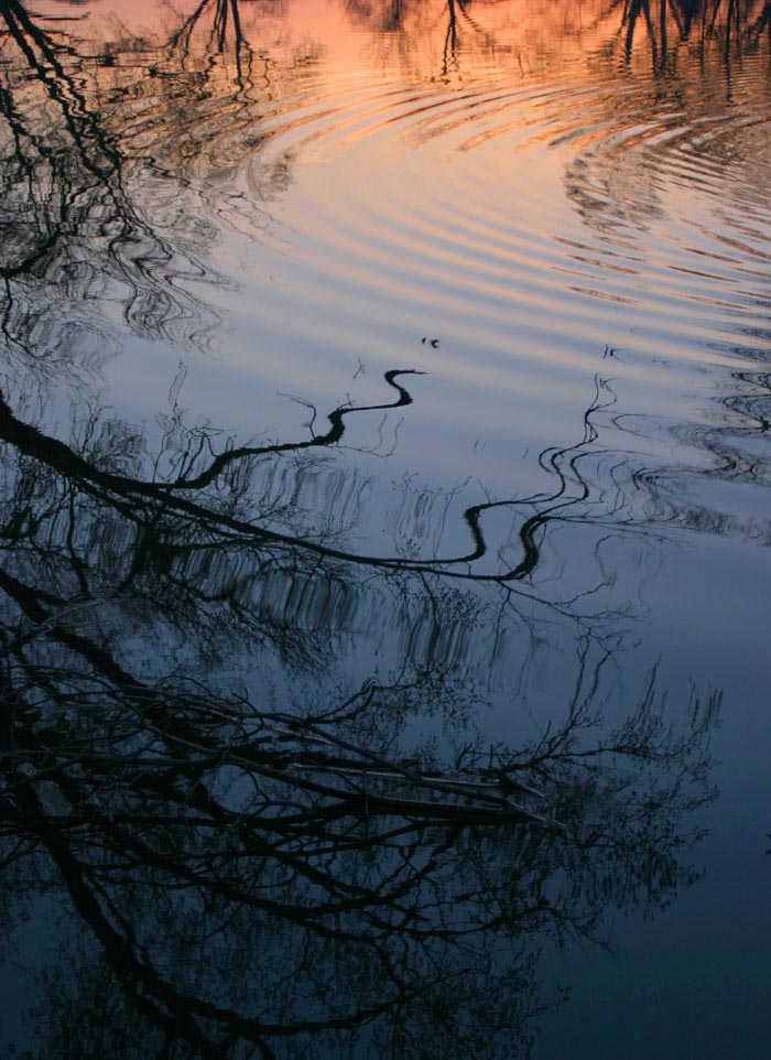 Photography by Quadrajet for DesignCrowd (Community Contests) | Design #9143503