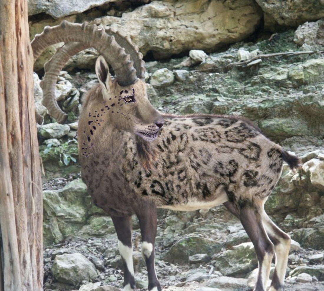 Diseño de Photoshop por MPolgara para DesignCrowd (Community Contests) | Diseño #9145921