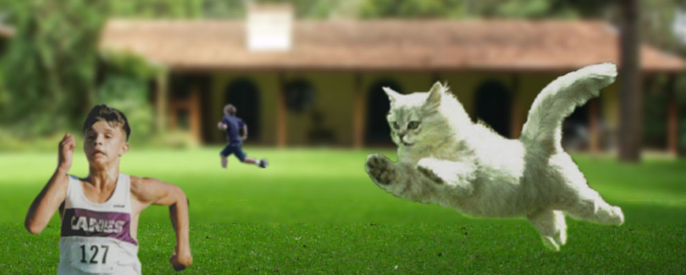 Photoshop Design by cbraga for DesignCrowd (Community Contests) | Design #9132894