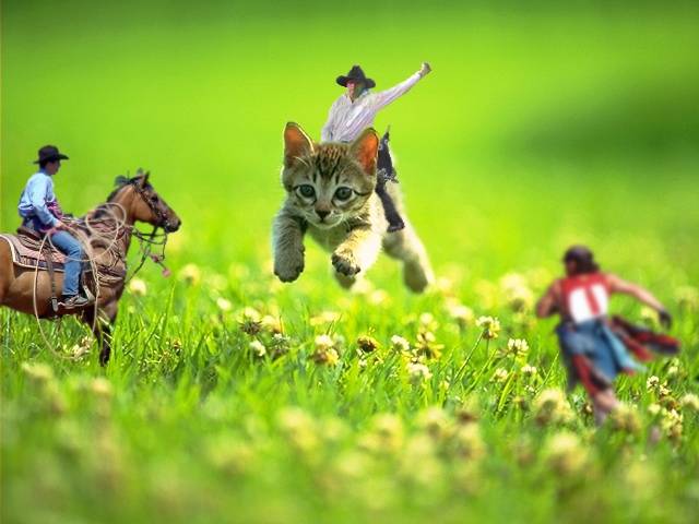Photoshop Design by KittyLitter for DesignCrowd (Community Contests) | Design #9132802