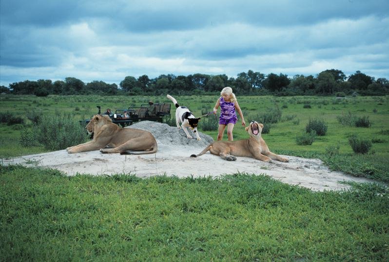 Diseño de Photoshop por bubufr para DesignCrowd (Community Contests) | Diseño #9132968