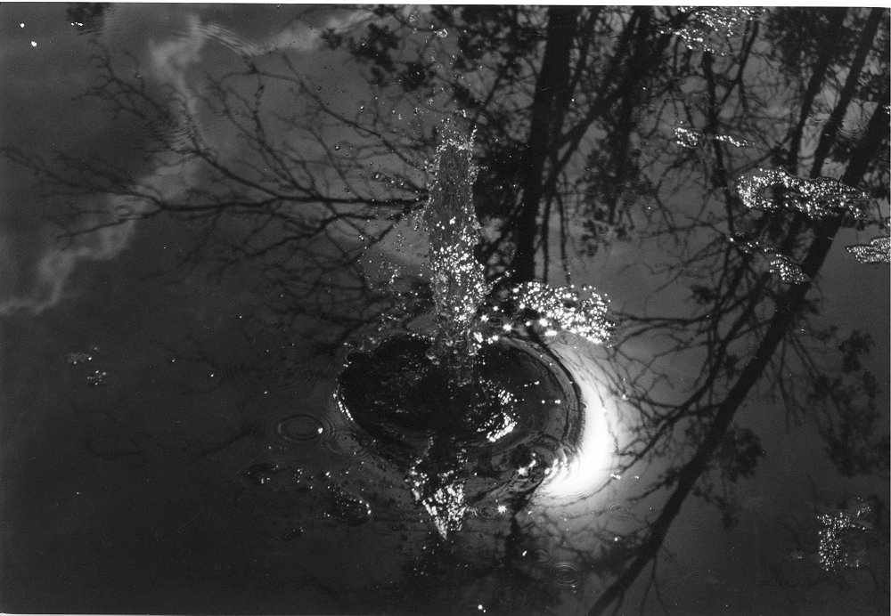 Photography by Phantazmo for DesignCrowd (Community Contests) | Design #9144079