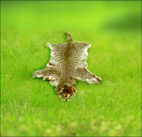 Photoshop Design by nautiq for DesignCrowd (Community Contests) | Design #9132905