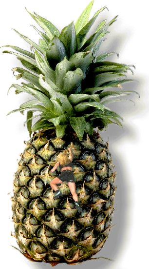 Design Photoshop par tomgirl80 pour DesignCrowd (Community Contests) | Design #9123276