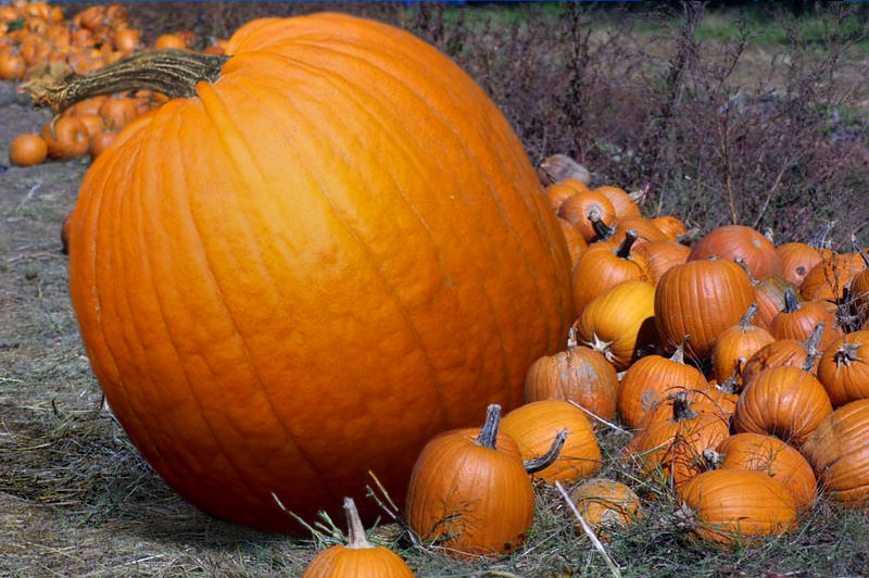 Design Photoshop par Jolt pour DesignCrowd (Community Contests) | Design #9123278