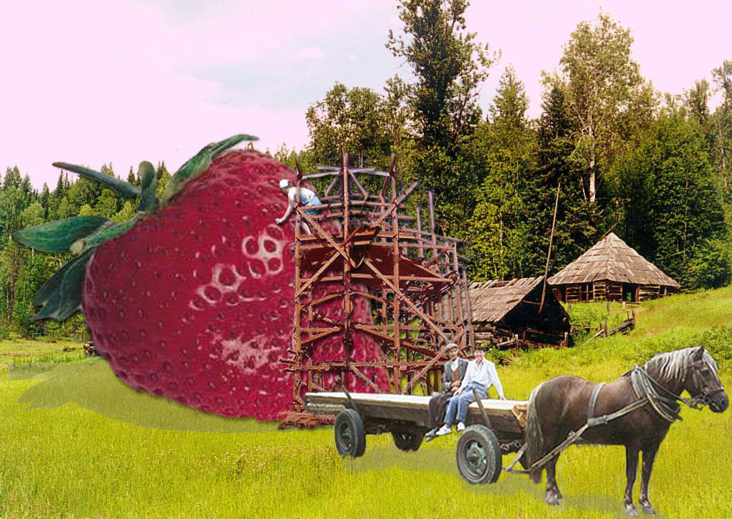 Photoshop-Design von hobbes_the_great für DesignCrowd (Community Contests) | Design #9123349