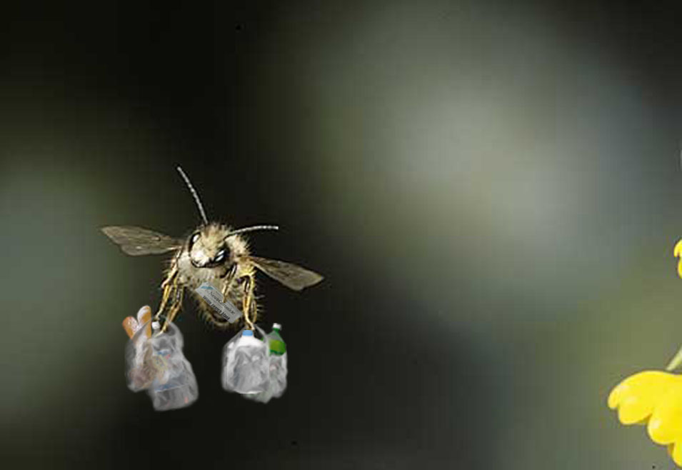Photoshop-Design von blindbug für DesignCrowd (Community Contests) | Design #9123309