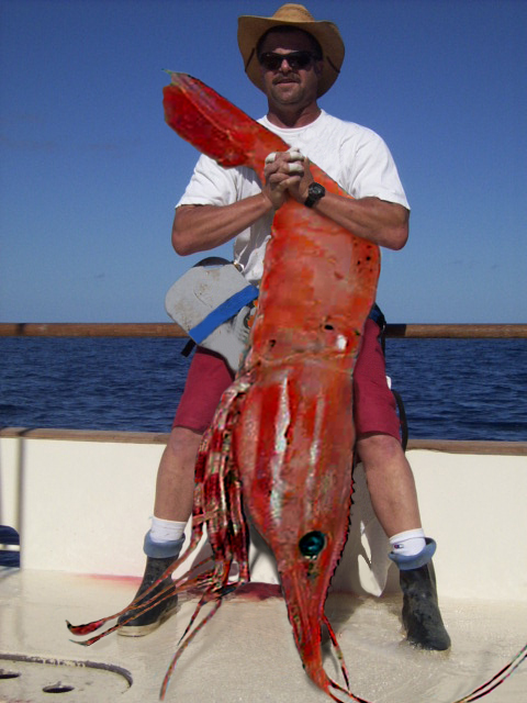 Photoshop Design by wisbin for DesignCrowd (Community Contests) | Design #9123469