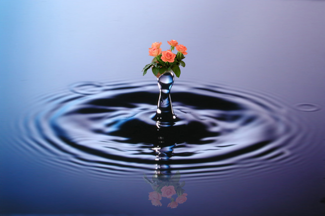 Diseño de Photoshop por Brass_Elephant para DesignCrowd (Community Contests) | Diseño #9142764