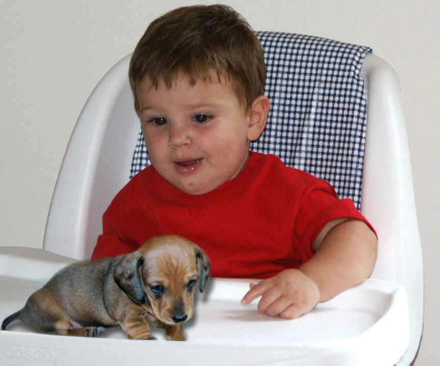 Design Photoshop par hesredbird pour DesignCrowd (Community Contests) | Design #9142796