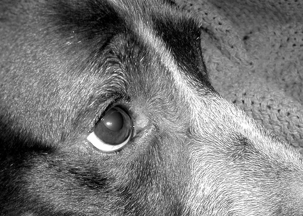 Photography by Mab1066 for DesignCrowd (Community Contests) | Design #9147397