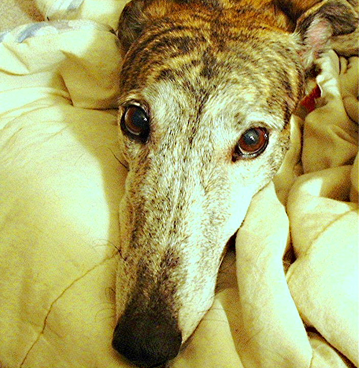 Photography by TampaDroid for DesignCrowd (Community Contests) | Design #9147454