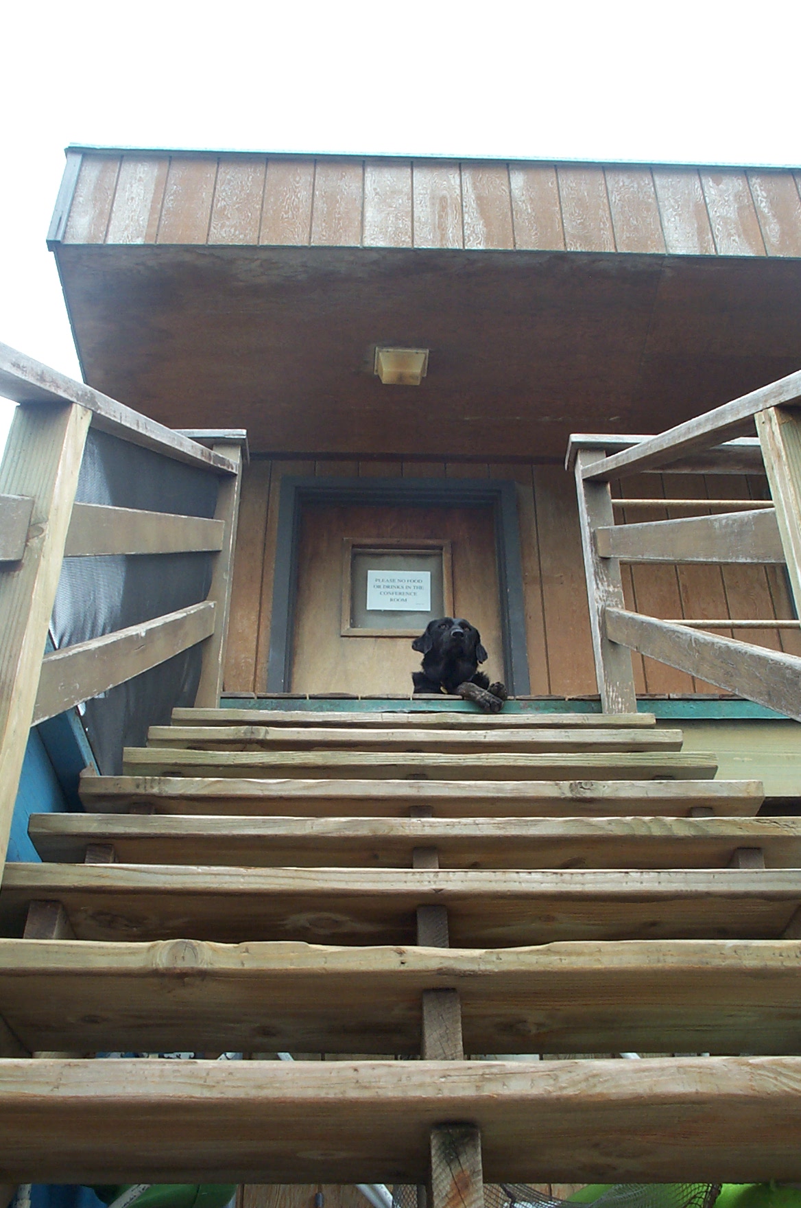 Photography by scotty2hotty for DesignCrowd (Community Contests) | Design #9147435