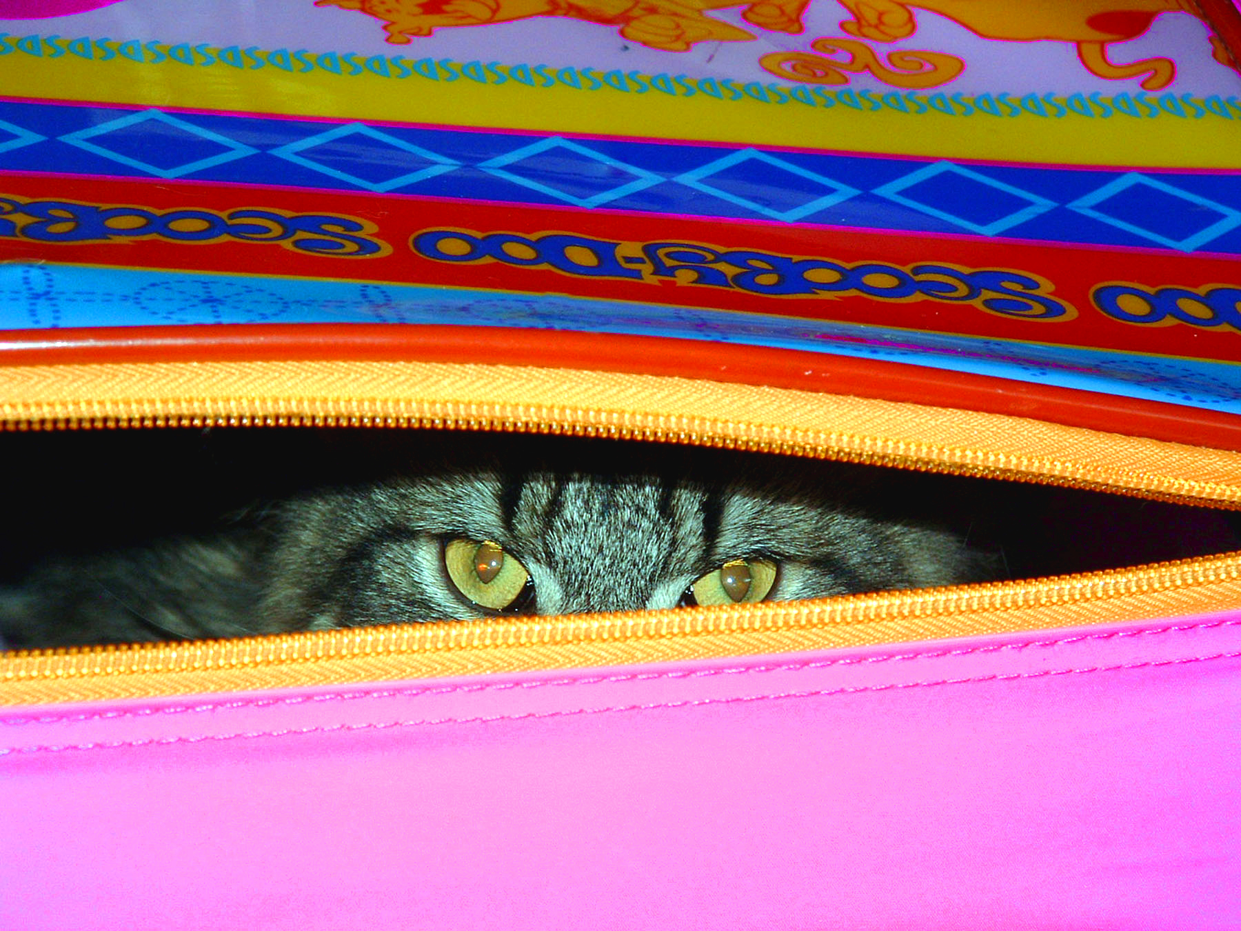 Fotografía por iDadalex para DesignCrowd (Community Contests) | Diseño #9147478