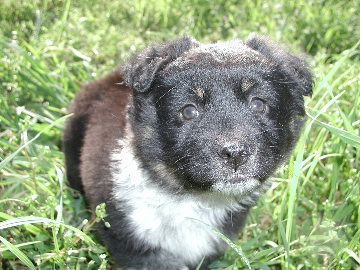 Photography by babyliz for DesignCrowd (Community Contests) | Design #9147533