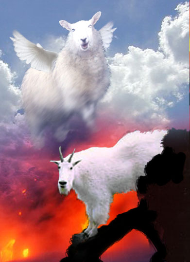 Photoshop-Design von ZPiDER für DesignCrowd (Community Contests) | Design #9121005