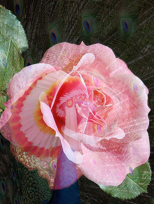 Design Photoshop par fRedline pour DesignCrowd (Community Contests) | Design #9121083