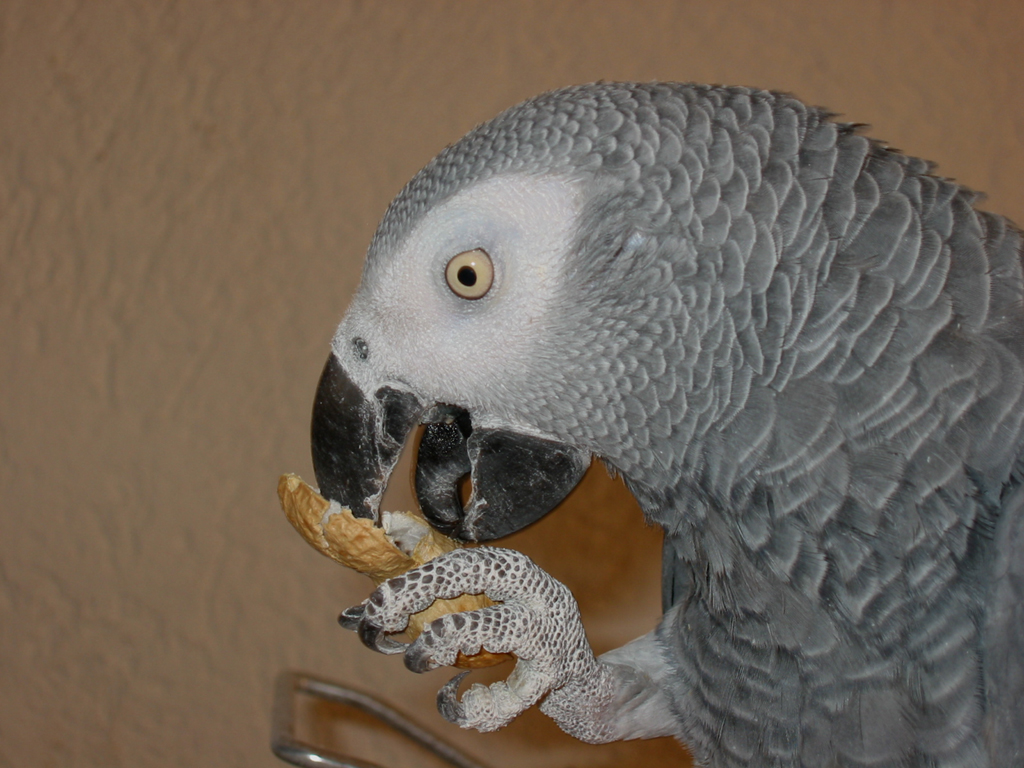 Fotografie von Ankabout für DesignCrowd (Community Contests) | Design #9147626