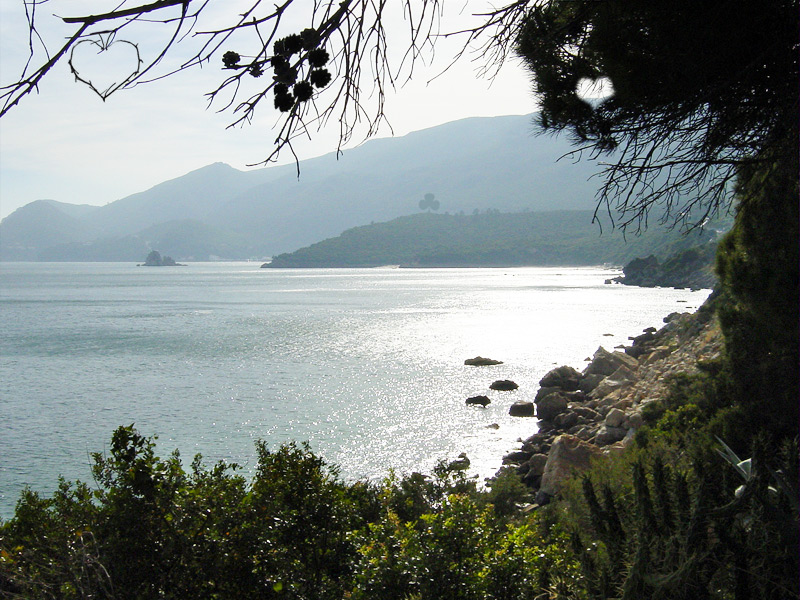 Photoshop Design by Pinhead for DesignCrowd (Community Contests) | Design #9148344