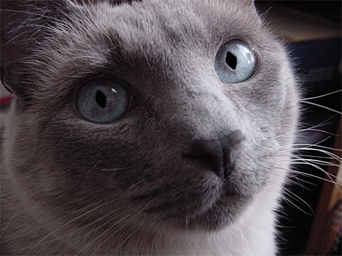 Photoshop Design by rusty76 for DesignCrowd (Community Contests) | Design #9148302