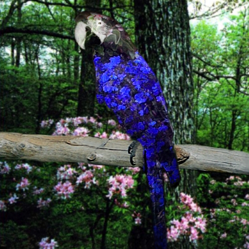 Photoshop Design by its420here for DesignCrowd (Community Contests) | Design #9145081